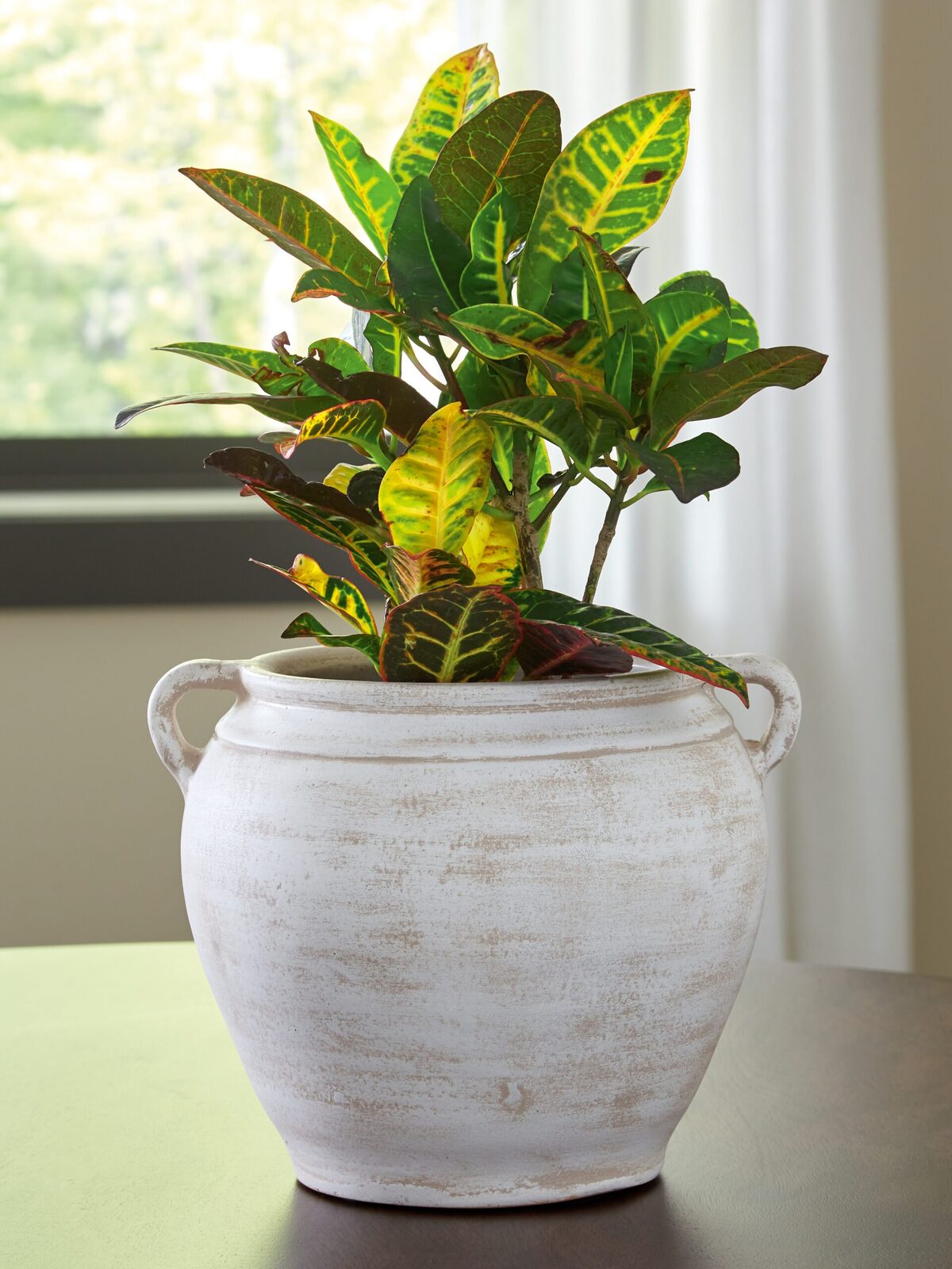 Meadie - 9" Vase - Image 12