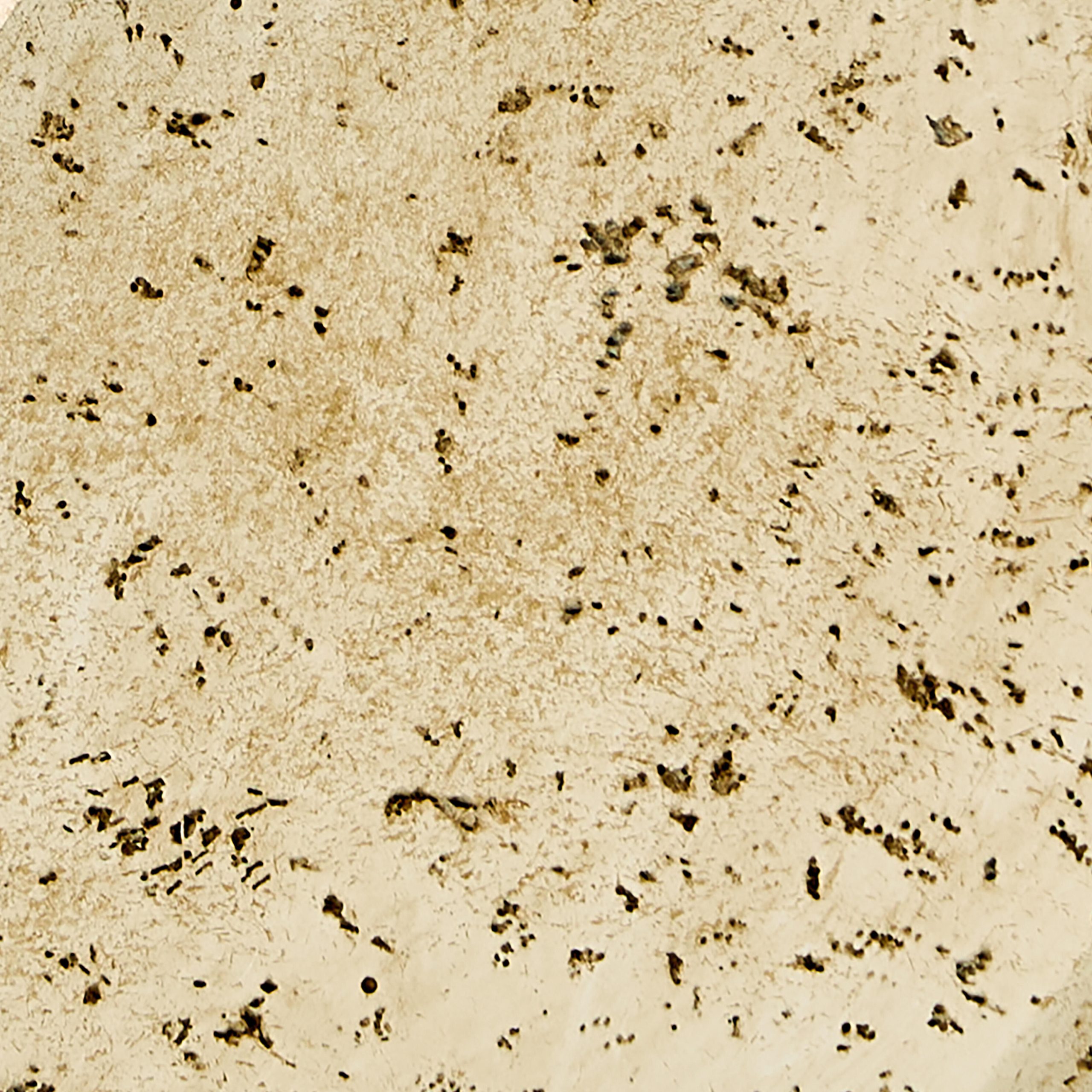 Bryons - Sculpture - Beige - Image 5